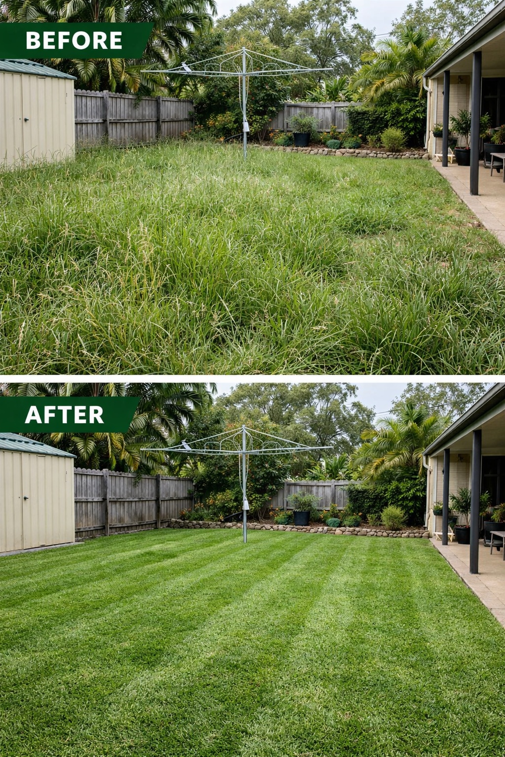 Fresh lawn mowing in Brisbane